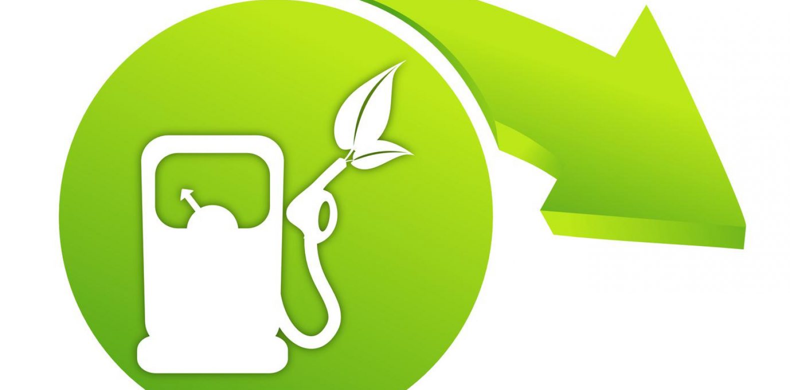 Biocarburants : une fausse ou bonne idée