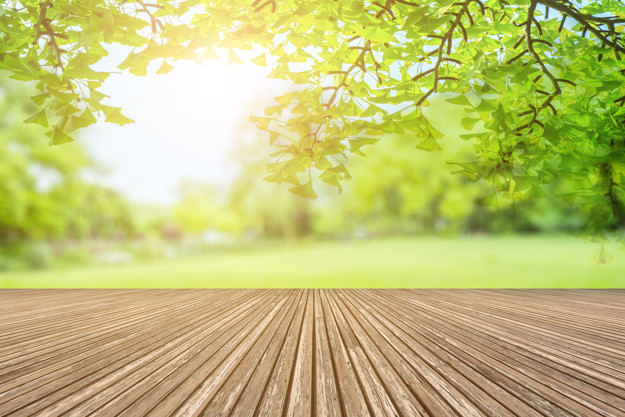 L’engagement du gouvernement sur les enjeux écologiques