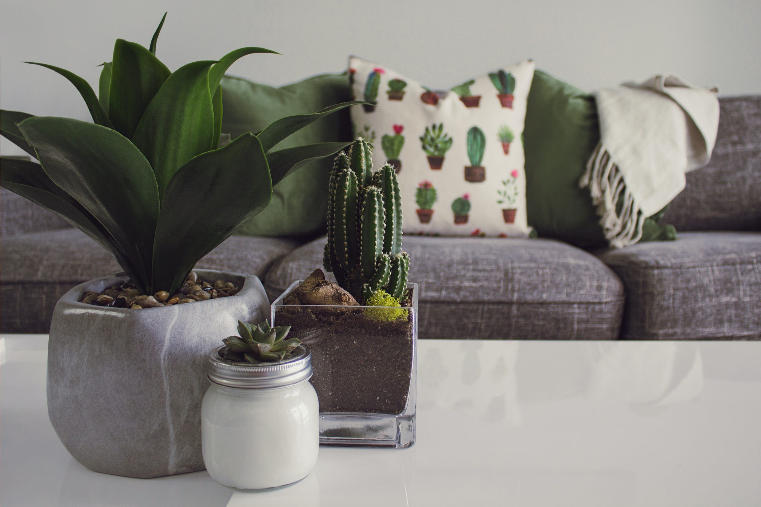 Conseils pour réussir sa décoration intérieure écologique