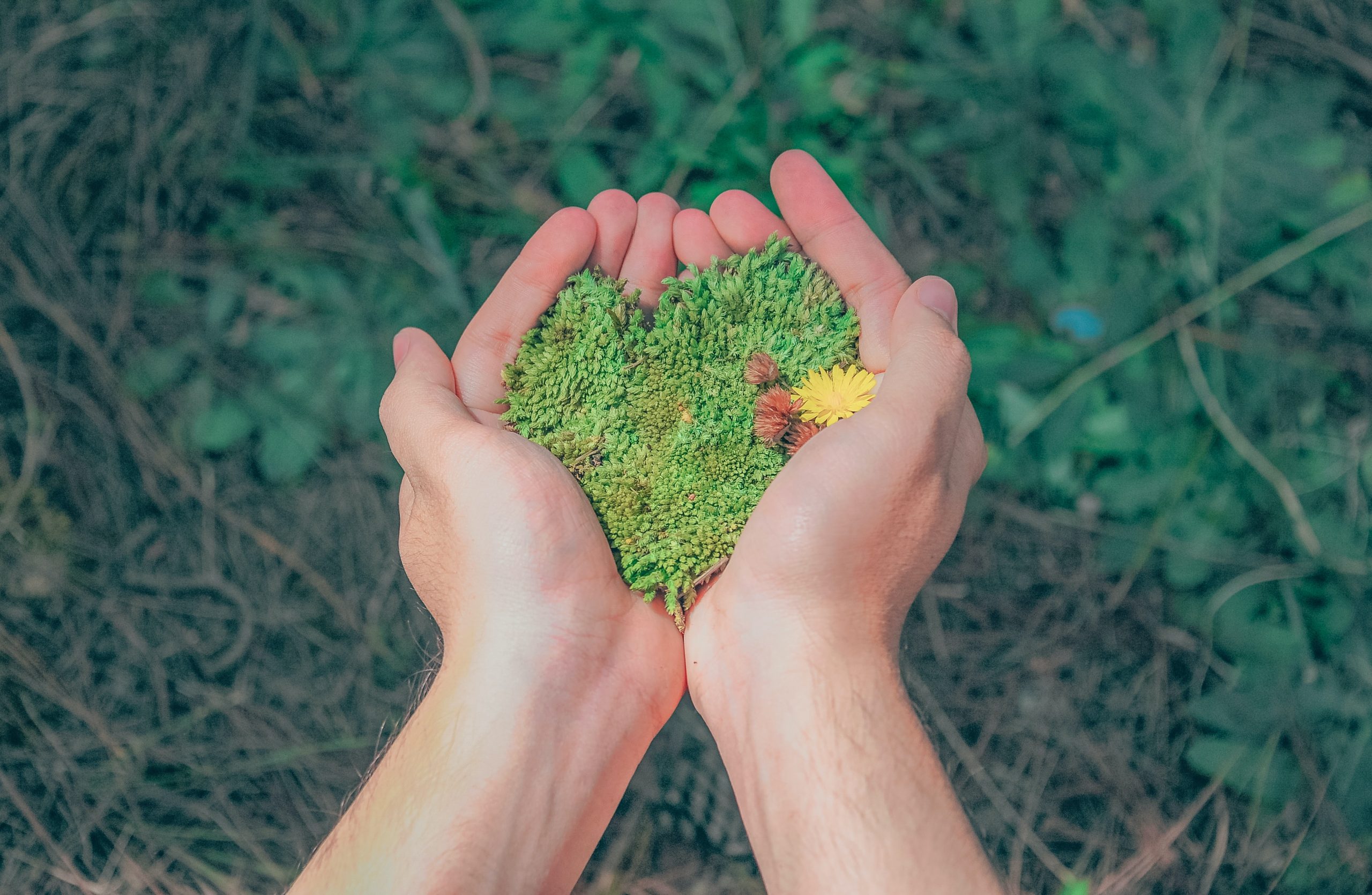 Solutions pour protéger son environnement