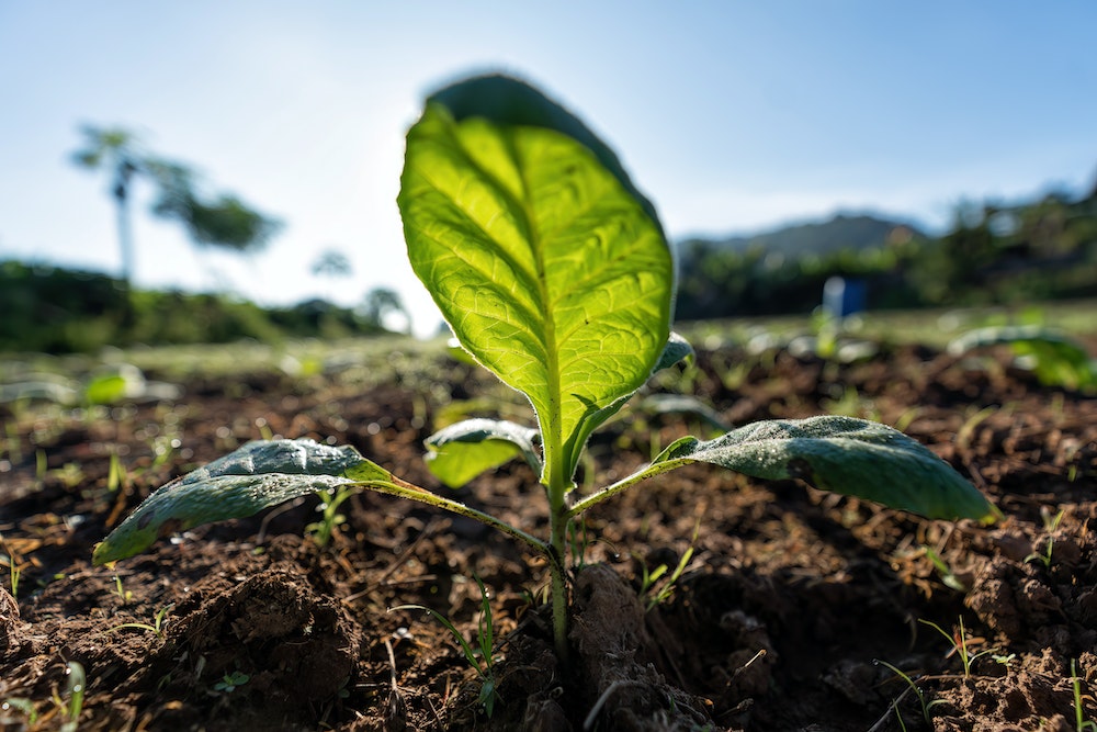 Le développement durable : un modèle pour un avenir prospère et équitable