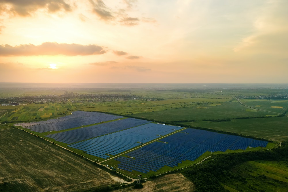 Biodiversité et développement durable : préserver la vie sur Terre pour notre bien-être