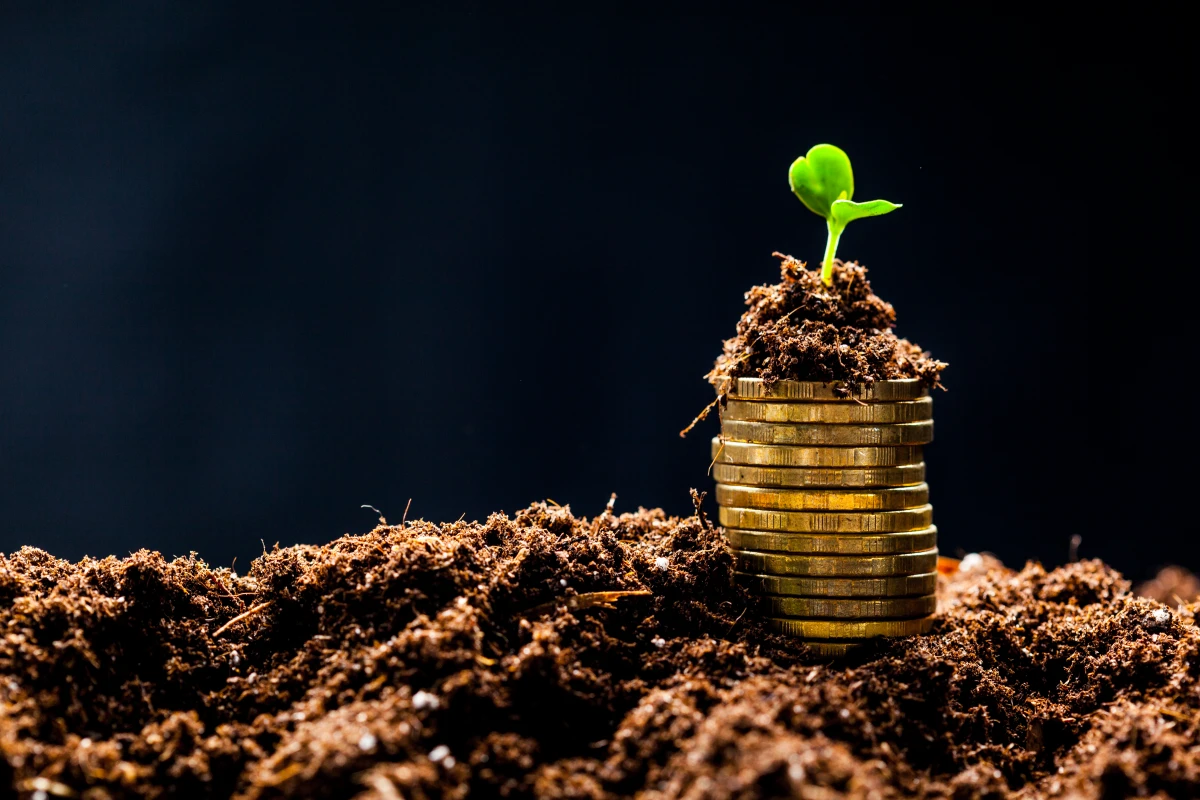 Le rôle des banques de semences dans la préservation de la biodiversité