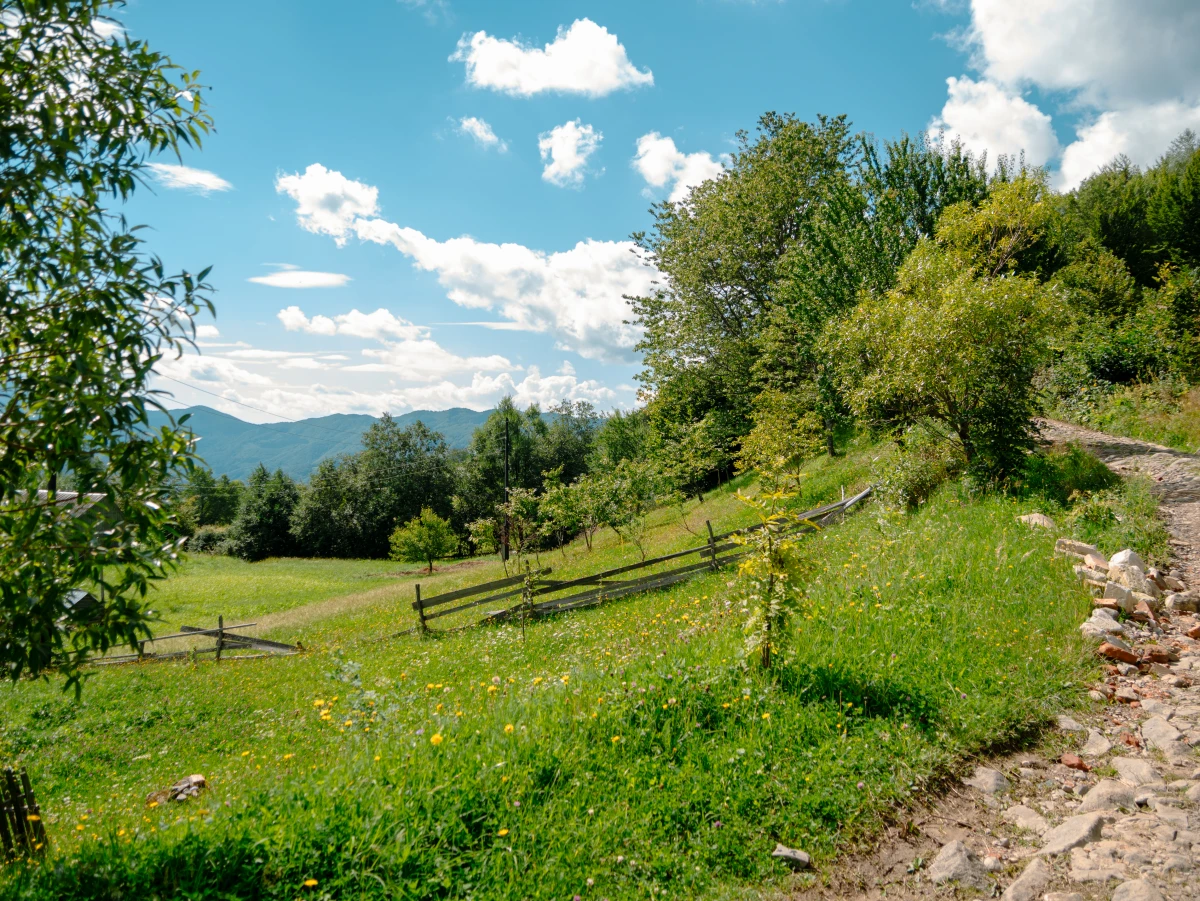 Les éco-villages : modèles de vie durable