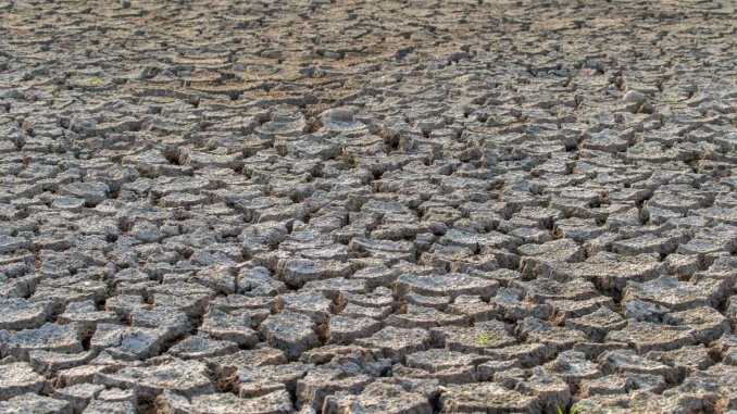 Le Lien Entre Agriculture Intensive Et Appauvrissement Des Sols Le Lien Entre Agriculture Intensive Et Appauvrissement Des Sols