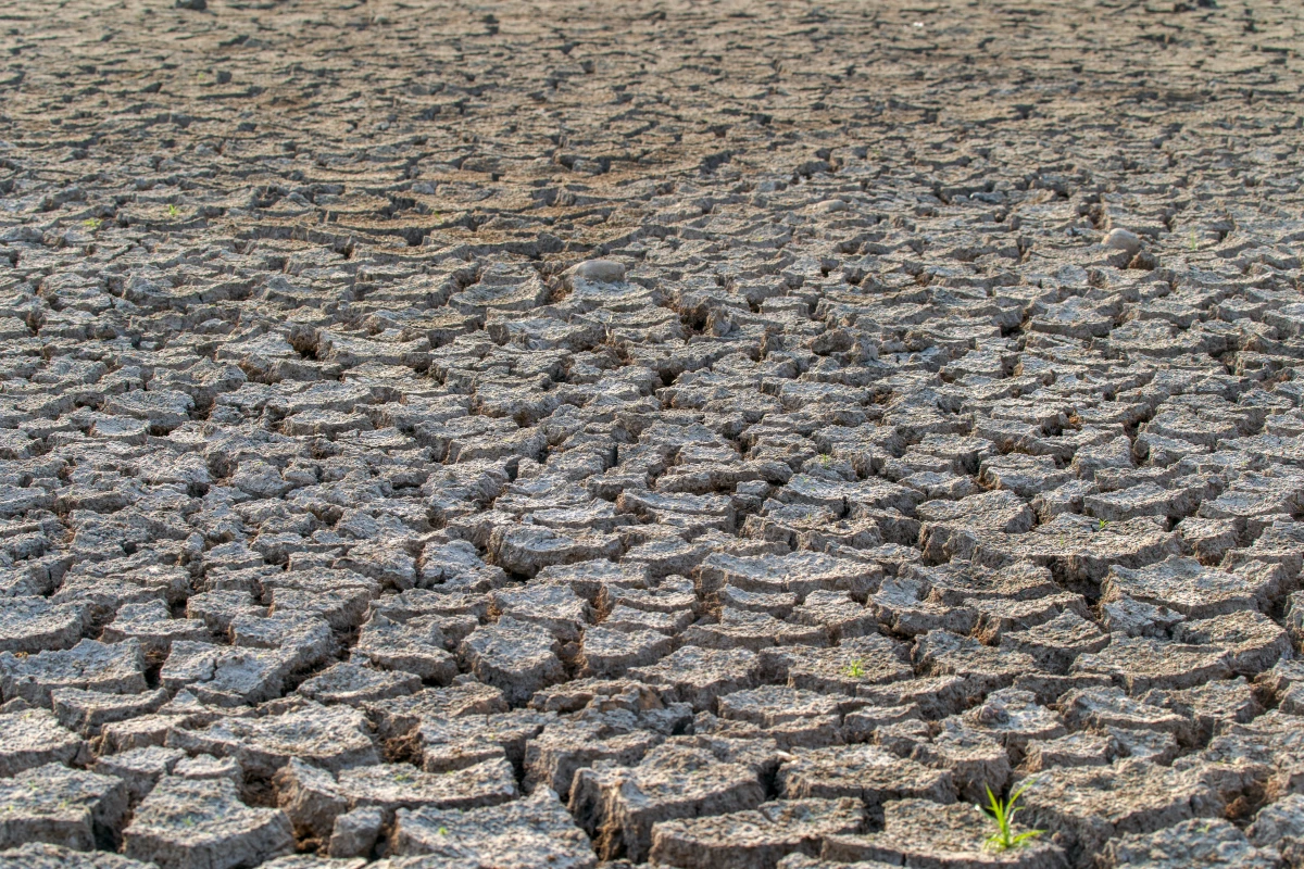 Le lien entre agriculture intensive et appauvrissement des sols