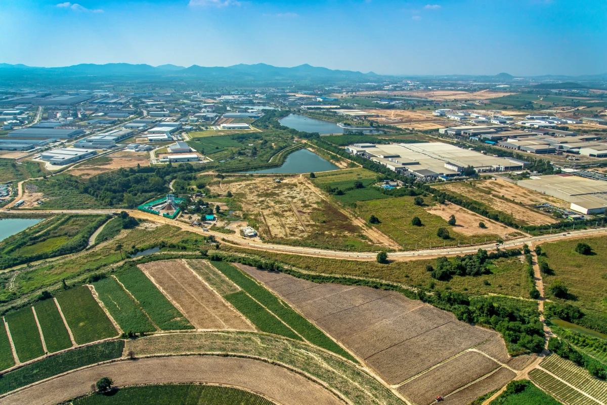 L'agriculture urbaine : solution durable pour nourrir les villes