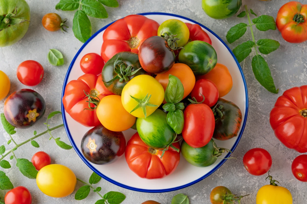 Alimentation bio et empreinte carbone : que disent les études ?