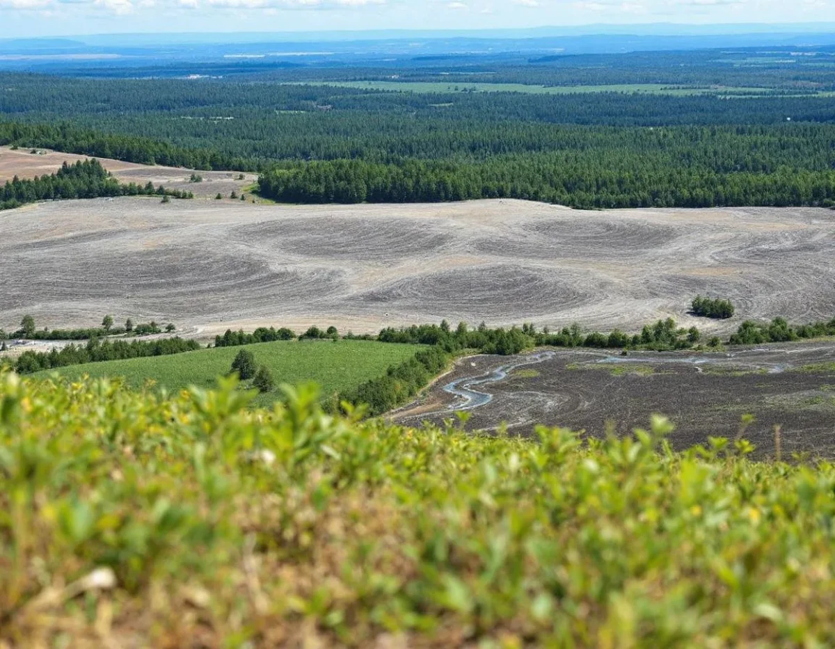 Comment les énergies renouvelables peuvent réduire la dépendance aux énergies fossiles