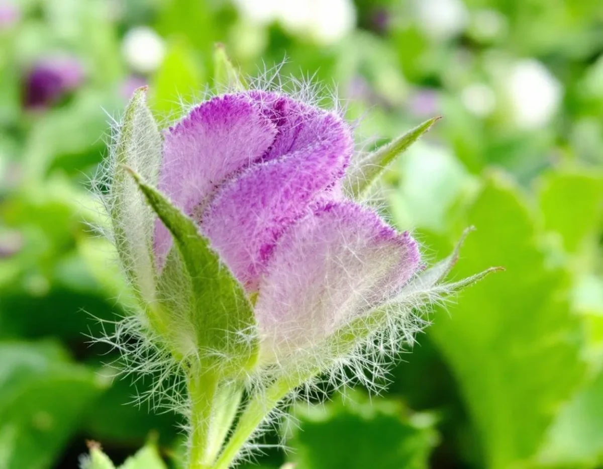 Comment la biodiversité peut inspirer les innovations technologiques